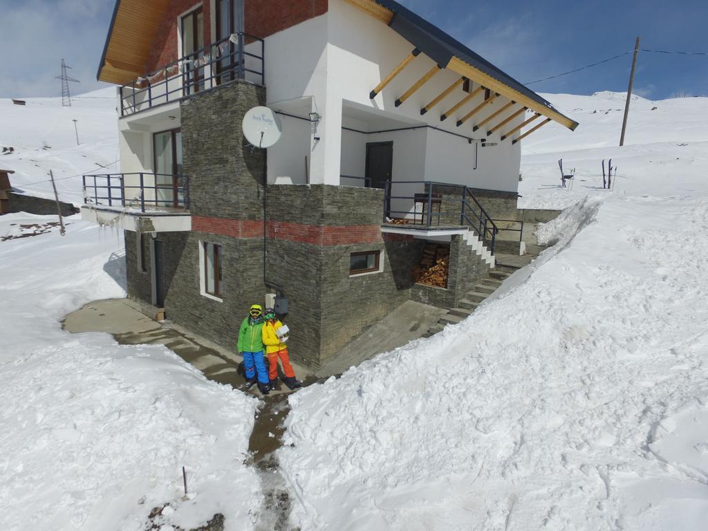 Mountain Cricket Chalets&Apartments Goudaouri Extérieur photo