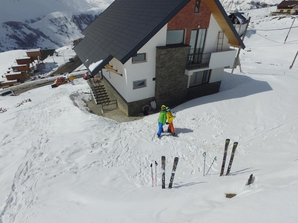 Mountain Cricket Chalets&Apartments Goudaouri Extérieur photo